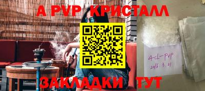 гашик Тара