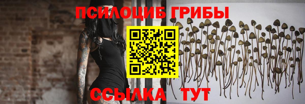 Галлюциногенные грибы мицелий  Вход с VPN  купить   Нижневартовск  Галлюциногенные грибы Psilocybe 